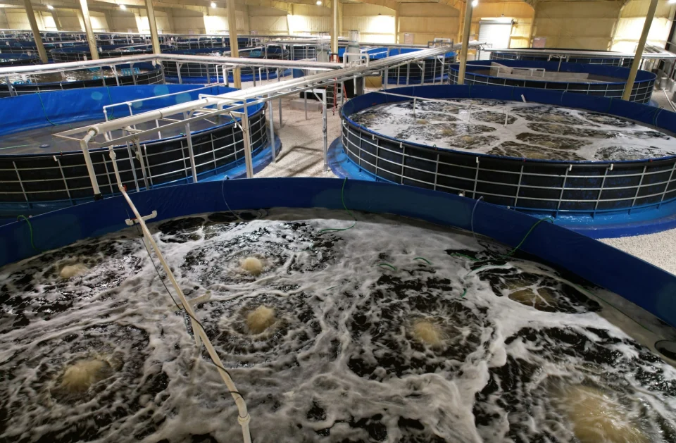 Archived reference photograph of a controlled indoor aquaculture facility