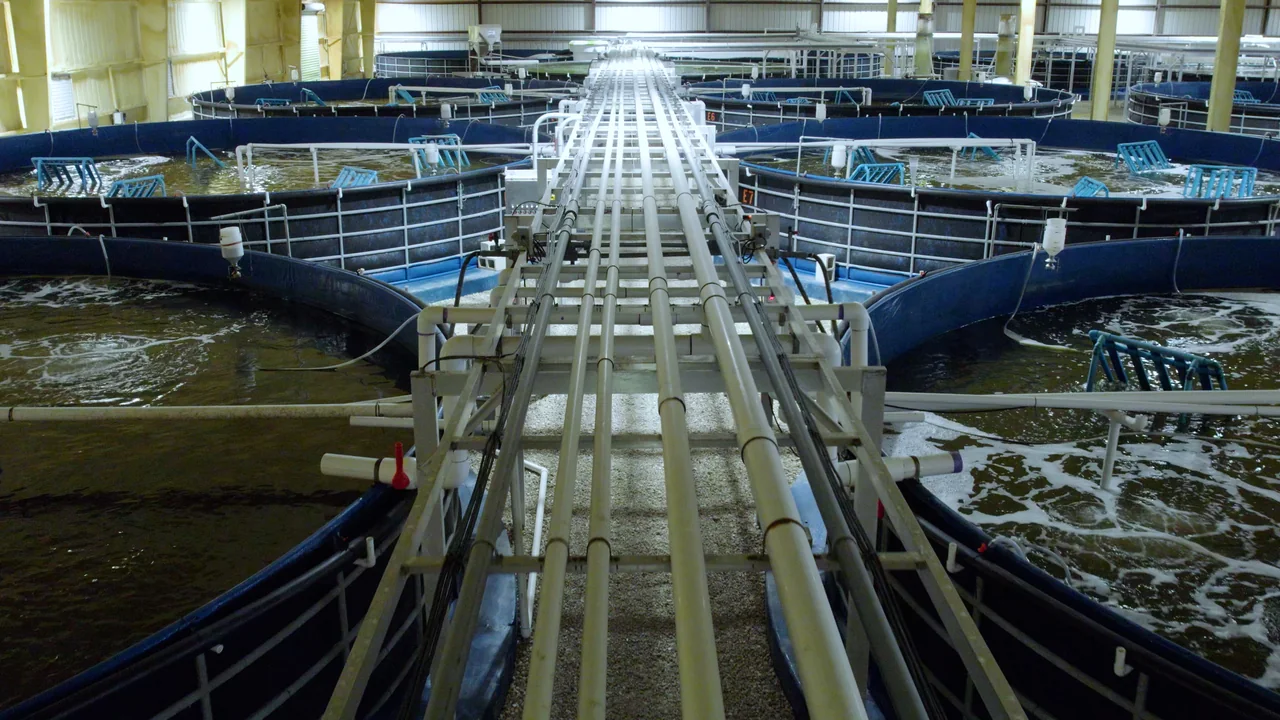 Central aisle between indoor circular tanks