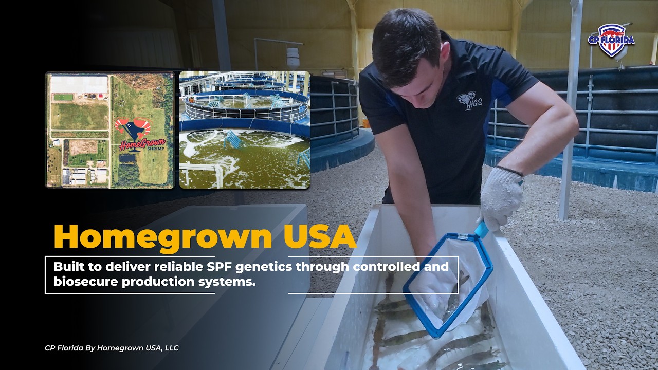 Homegrown Shrimp USA facility video thumbnail